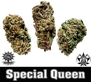 Special Queen- Free UK Delivery.