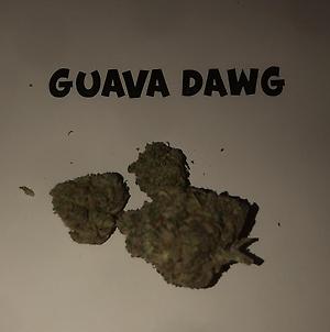 GUAVA DAWG