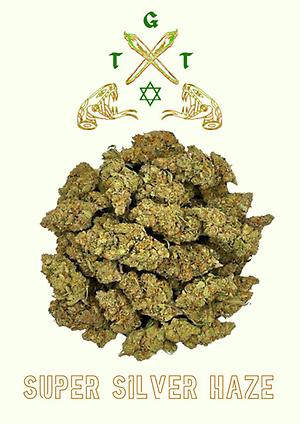 PREMIUM SUPER SILVER HAZE *FREE SHIPPING*
