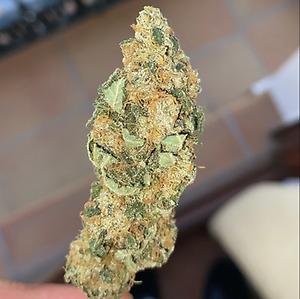 Northern Lights Indoor