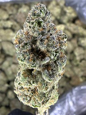 Grapes & Cream - Cali Top Shelf