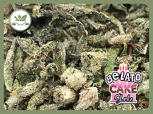 Gelato Cake Shake. Premium straight from Harvest