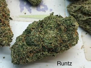 Midnight Runtz Mid Shelf Cali