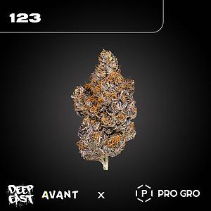 ‘Avant 123’ Deep East Farms x Wizard Trees