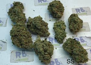 SUPER SILVER HAZE (DUTCH)