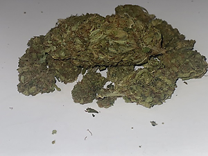 **VALUE LEMON SKUNK** FREE 1ST CLASS UK SHIPPING **