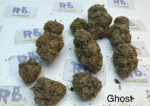 Ghost Dawg