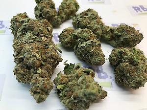 SHERBET COOKIES DUTCH A+