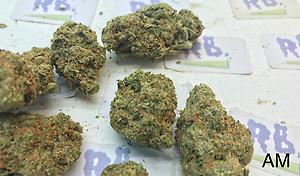 AMNESIA HAZE MID SHELF CALI