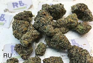 BLACK RUNTZ MID SHELF CALI