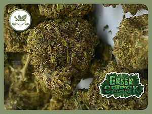 Green Crack Super Cheap Buds