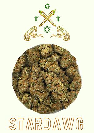 STARDAWG *FREE SHIPPING*