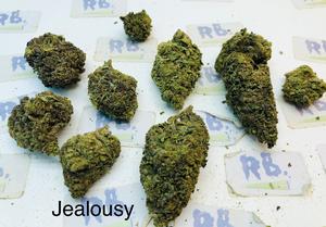 Cali Mids SPECIALS