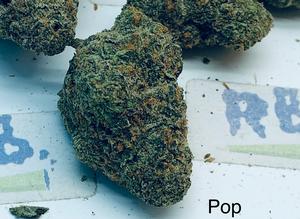 Popsicle Mid Shelf Cali