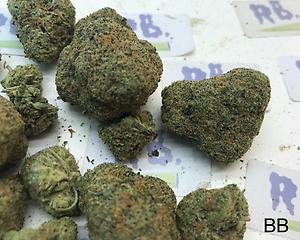 BUBBLE GUM MID SHELF CALI