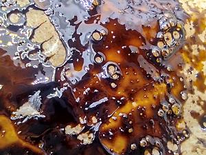 Premium Hash-oil Extract