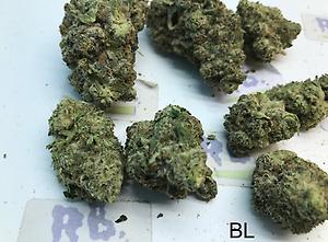 BLACKBERRY MID SHELF CALI