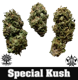 Special Kush- Free UK Delivery.