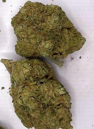 Trainwreck - EXOTICS