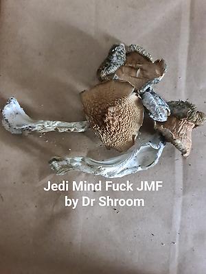 Jedi Mind Fuck JMF mushrooms