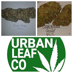 **2 STRAIN VARIETY PACK - (FREE RM 1ST CLASS)SC/GD