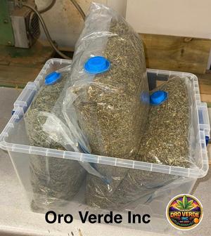 Popcorn buds / shake 🇬🇧