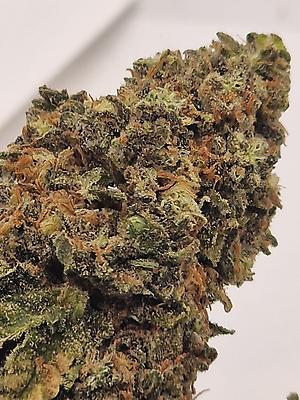 Absolutely Dank UK Grown Biscotti - Crazy Terps