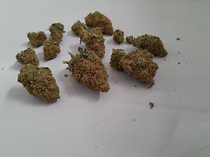 G-13 Haze
