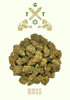 RS11 *FREE SHIPPING*