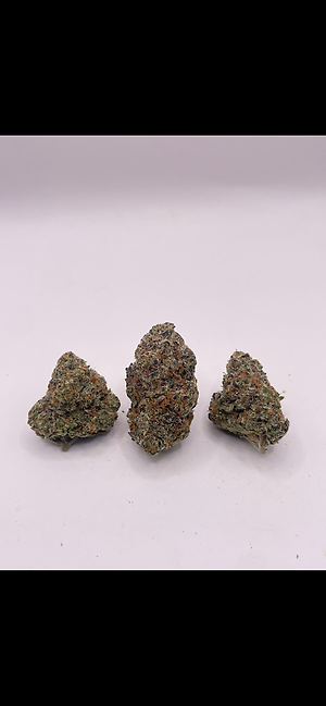 MOTOR BREATH - EXOTICS