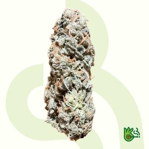 Arjans Strawberry Haze *Free Shipping*