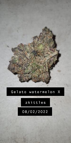 Gelato Watermelon X Zkittles