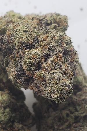 WATERMELON MIMOSA (SATIVA DOM)