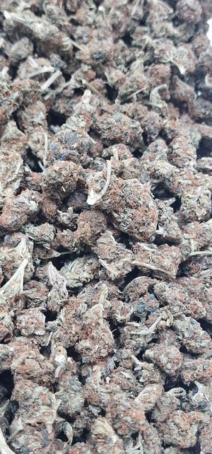 Introductory Stardog Smalls 🐩