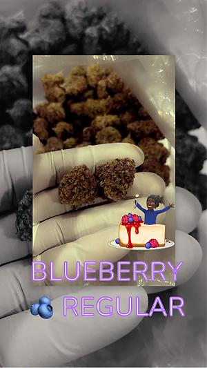 Blueberry Regular 🫐