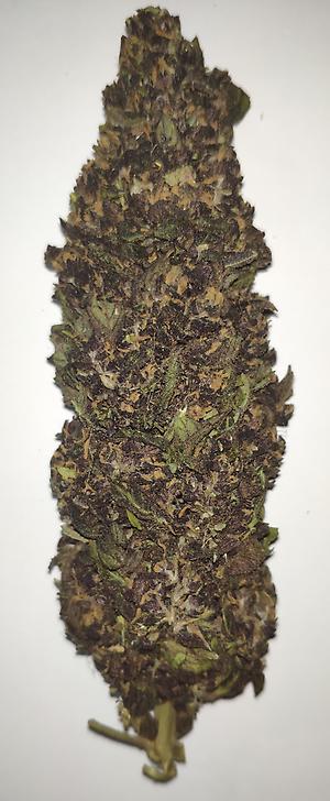 PURPLE HAZE – 25% CBD BUDS