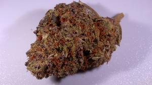 SAUVIGNON BLANC - 𝘌𝘚 AUTOFLOWER