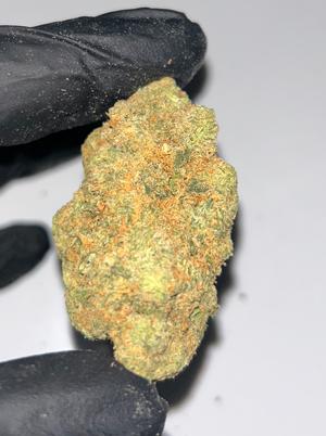 AGENT 🟧 ___(EXOTIC)