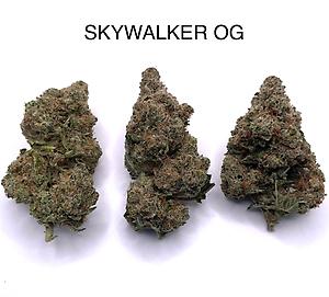 SKYWALKER OG