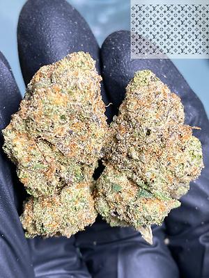 ZOAP TOPSHELF IMPORT