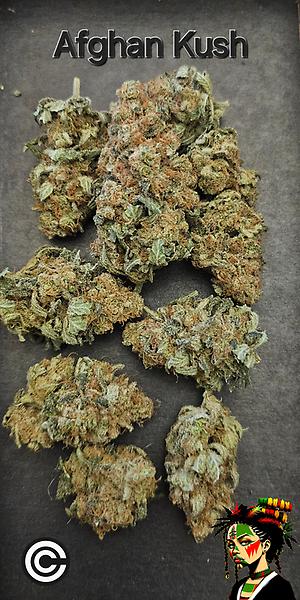 Afghan Kush