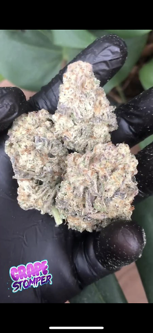 GRAPE STOMPER