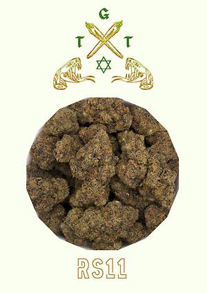 EXCLUSIVE RS11 *FREE SHIPPING*