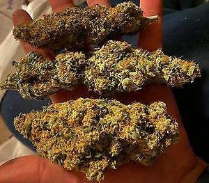 Pick And Mix (Any 3 Strains) 1g Budget Bud Free! 4g £30