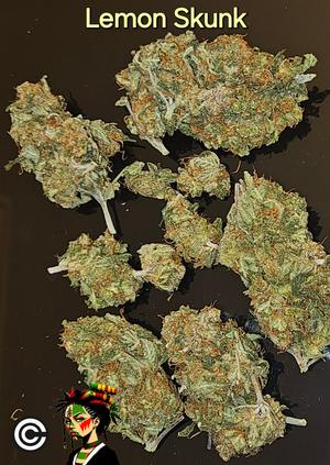 Lemon Skunk