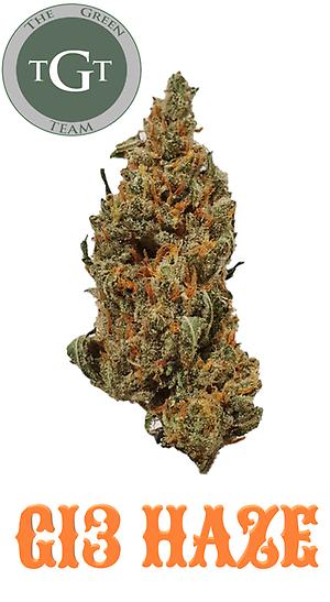 G13 HAZE