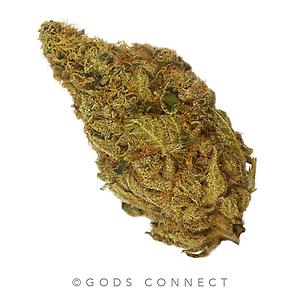 A** UK - Ghost Train - GhostOG X Neville's Wreck