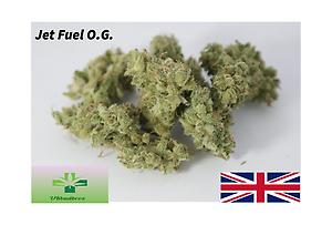 Jet Fuel OG