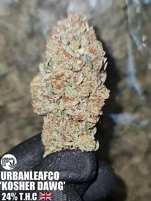 BARRY BONDS - UK - FREE RM 1ST CLASS SHIPPING