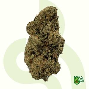 Gelonade *Free Shipping*